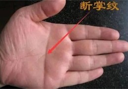 ​手掌中断掌的看法