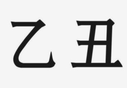 乙丑日柱各时辰命运
