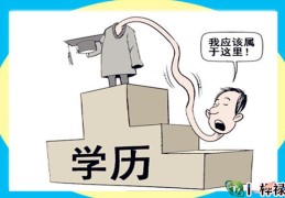 八字断学历高低，​高学历的八字特点