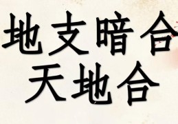 八字合多代表什么