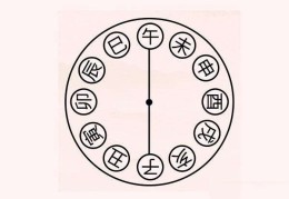 十二地支子午相冲女命特征