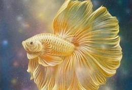 女命金水旺好不好