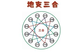 八字地支三合局表现