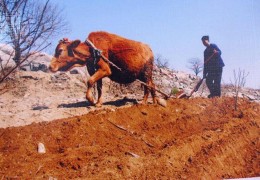 1997年出生的人是什么命