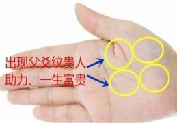 事业可以白手起家的手相特征