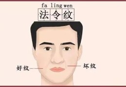 面相长法令纹就代表事业好吗