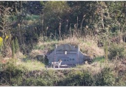 祖坟风水不好什么样