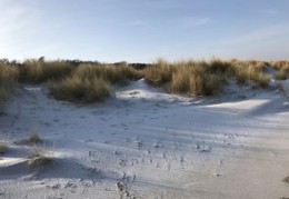 怎样才属于藏风聚气