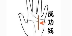 手掌中的成功线看法