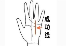 手掌中的成功线看法