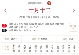 2025年12月1日每日五行穿衣指数解读搭配