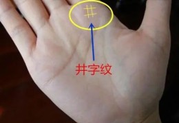 手掌有井字纹命好吗