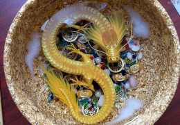 屋里风水怎样摆设招财（屋里风水怎样摆设招财最好）