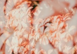 八字金水多的人特征（八字里金水多）