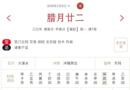 2026年2月9日每日五行穿衣指数解读搭配