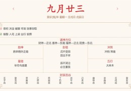 每日运势解读：2023年11月6日穿衣指数