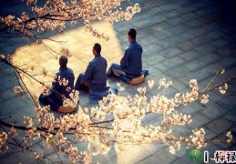 地支三合财局详解