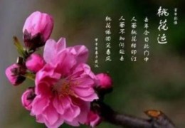 八字中红鸾天喜是什么意思