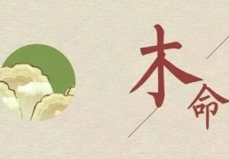 木命的人适合在什么方位工作