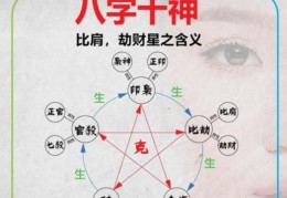 大十神与小十神的区别