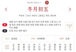 2024年12月5日每日五行穿衣指数解读搭配