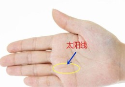 太阳线与命运线的交点是什么意思（太阳线与命运线的交点是什么意思啊）