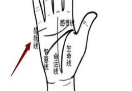 婚姻易有争吵的手相特征