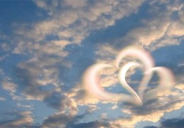 对爱情绝对忠诚的八字