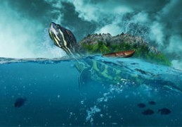 养乌龟的好处风水