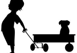 朋友少的八字特征