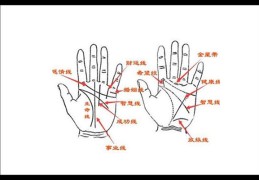 手相了解个性特征