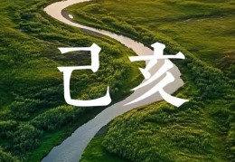 己亥日出生的人命好吗，己亥日各个时辰吉凶