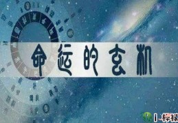 庚日主生于子月命理特点