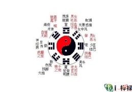 六爻八卦代表的人体象义全解