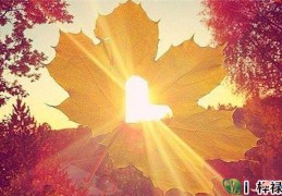 八字看流年方法