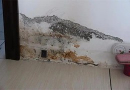 房屋漏水有何风水征兆（房屋漏水有何风水征兆吗）