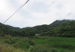 八字看阴宅技巧秘诀