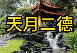 八字见神煞天月两德好吗