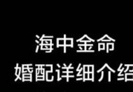 乙丑海中金命什么意思？乙丑海中金命好吗