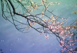 影响桃花的住宅风水方位