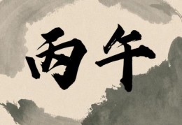 丙午日出生的人命好吗，丙午日各个时辰吉凶