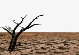 八字中五行缺木的人命好吗