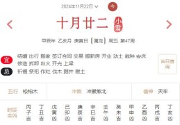 2024年11月22日每日五行穿衣指数解读搭配