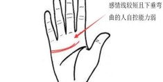 ​男人感情线怎么看