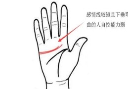 ​男人感情线怎么看