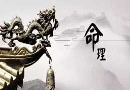 什么是生辰八字术语