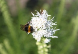 癸水命的人要遇到蛇（癸水命的人要遇到蛇什么意思）