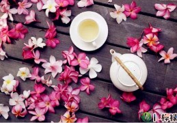 偏印与十神的坐支关系