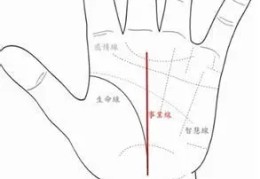 ​手掌上升线的看法