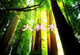 戊辰大林木命是怎么回事，戊辰大林木命好吗